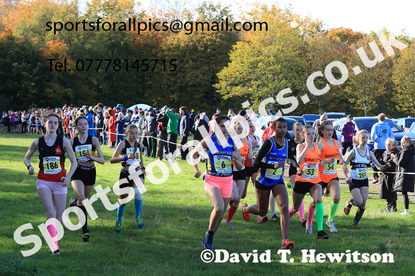 Girls Under-15s, 2025 Start Fitness NEHL, Lambton, County Durham. Photo: David T. Hewitson/Sports for All Pics
